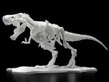 DINOSAUR MODEL KIT LIMEX SKELETON Tyrannosaurus