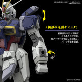 RG -Force Impulse Gundam Spec II