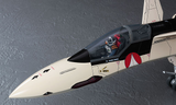 1/48 YF-19 MACROSS PLUS