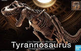 1/32 Imaginary Skeleton Tyrannosaurus