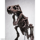 1/32 Imaginary Skeleton Tyrannosaurus